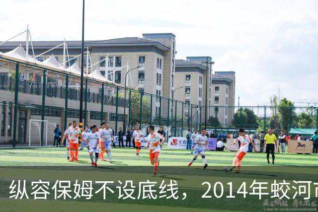 纵容保姆不设底线，2014年蛟河市“10·26”故意杀人案侦破始末